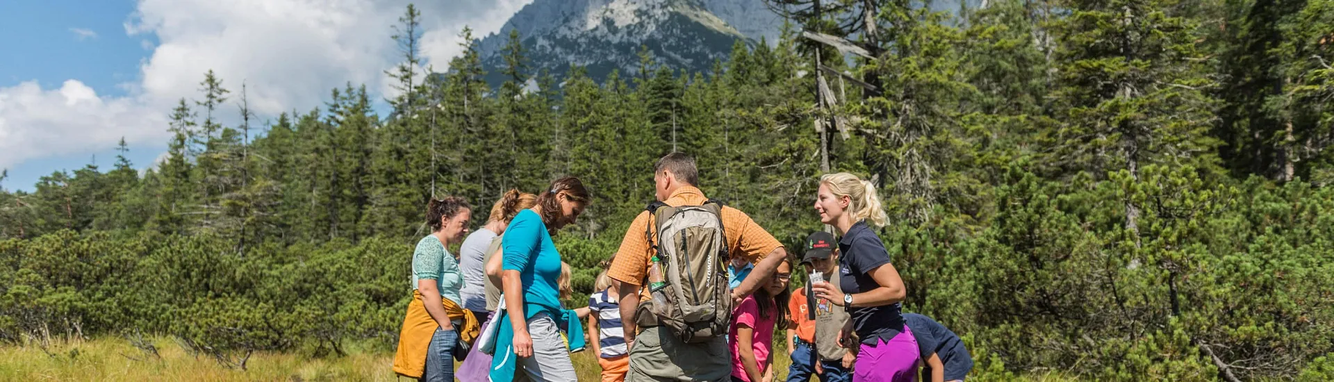 Moorwanderung bei Ellmau am Wilden Kaiser