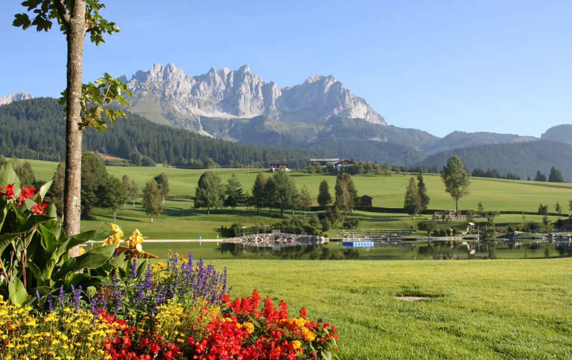 Badesee Going mit Blumenwiese